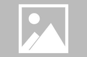 九游官网app下载-莫德里奇将开启第5次世界杯之旅|克罗地亚足球队|达利|球队|克罗地亚|加纳